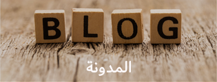 المدونة